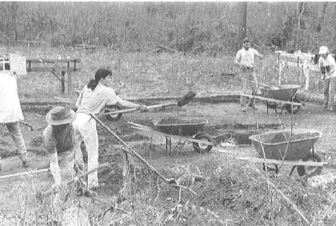 Dog River Excavation 2 Dog River Excavation 2