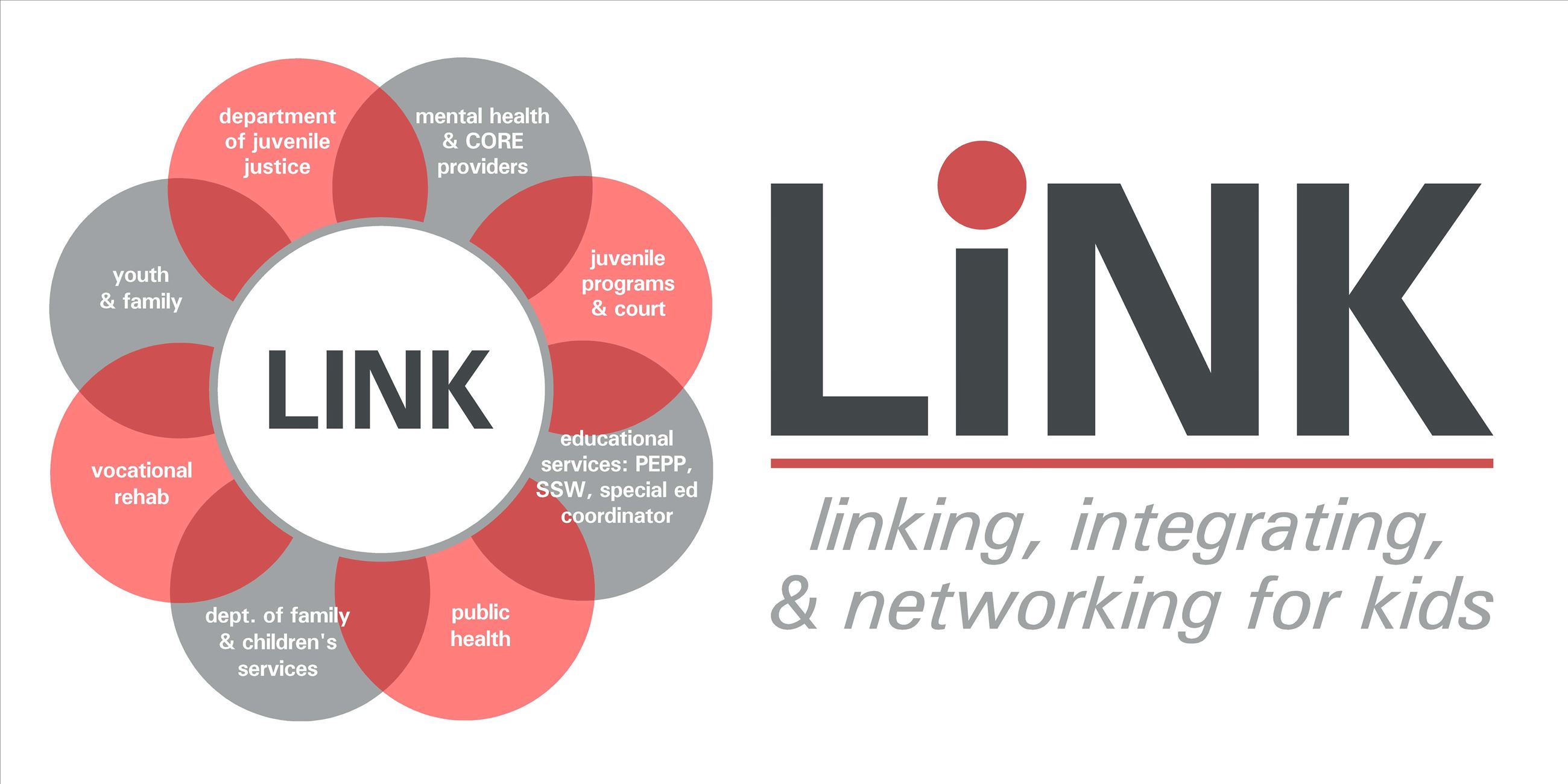 LINK - Linking, Integrating, and Networking for Kids